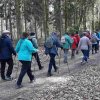 03 bei Waldhausen - Schättere-Trasse